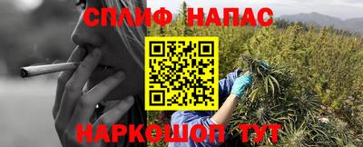 PSILOCYBIN Новозыбков