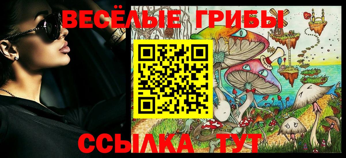 Галлюциногенные грибы Psilocybine cubensis Ростов Великий