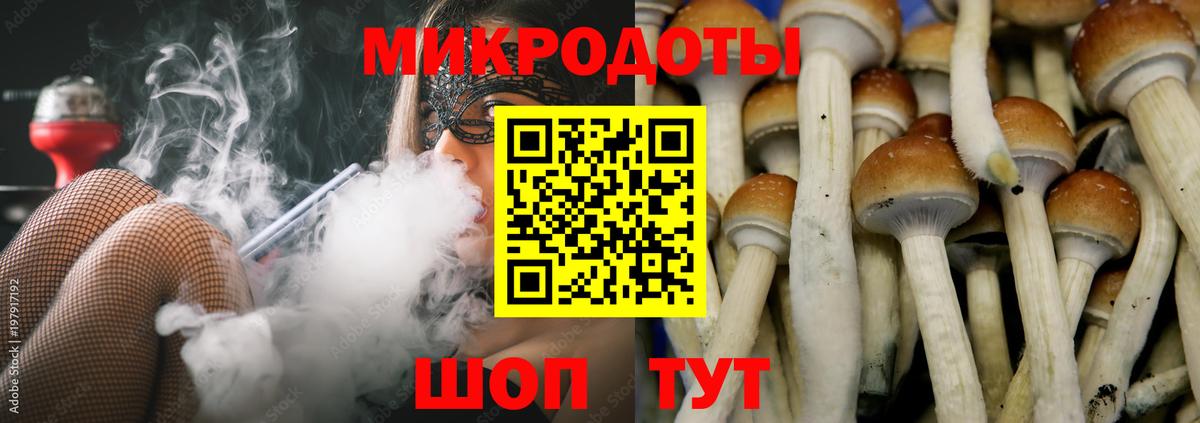 Псилоцибиновые грибы GOLDEN TEACHER  Вход с VPN  Псилоцибиновые грибы Magic Shrooms  Ростов Великий 